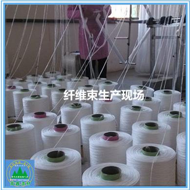 纖維束 纖維束